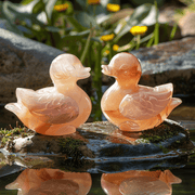 Mandarin Duck Set for Love & Harmony | Brahmatells - BrahmatellsStore