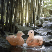 Mandarin Duck Set for Love & Harmony | Brahmatells - BrahmatellsStore