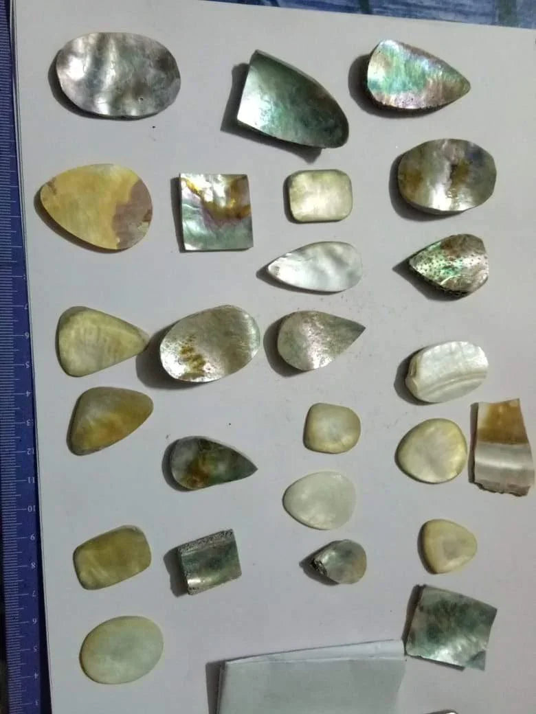 Mother of Pearl - BrahmatellsStore