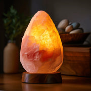 Multicolor Himalayan Salt Lamp for Vastu & Feng Shui Harmony | Brahmatells - BrahmatellsStore