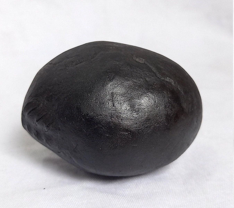 Natural Black Shaligram Stone with Vishnu Chakra | Brahmatells - BrahmatellsStore