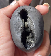 Natural Black Shaligram Stone with Vishnu Chakra | Brahmatells - BrahmatellsStore