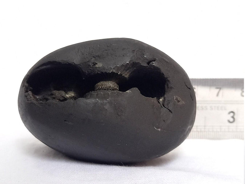 Natural Black Shaligram Stone with Vishnu Chakra | Brahmatells - BrahmatellsStore