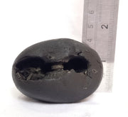 Natural Black Shaligram Stone with Vishnu Chakra | Brahmatells - BrahmatellsStore