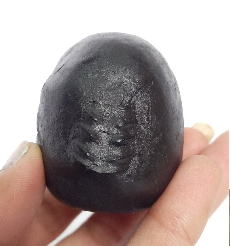 Natural Black Shaligram Stone with Vishnu Chakra | Brahmatells - BrahmatellsStore