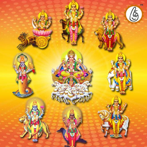 Navagraha mantra Japa and Homa - BrahmatellsStore