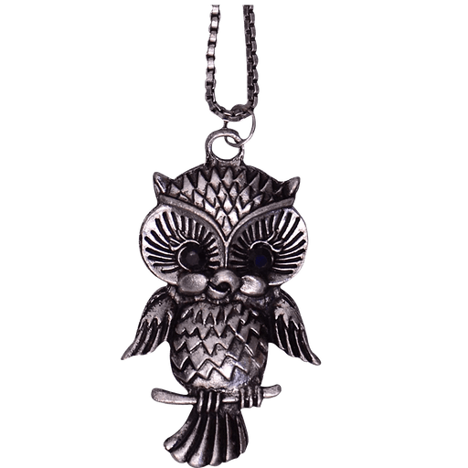 Necklace with long chain for girls, Oxidised Metal Owl Pendant - BrahmatellsStore