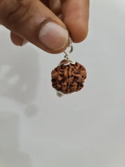 Nepal's Finest 1 Mukhi Rudraksha - Ultimate Peace & Clarity with Shiva | Brahmatells - BrahmatellsStore