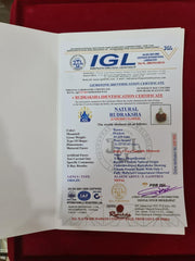 Nepal's Finest 1 Mukhi Rudraksha - Ultimate Peace & Clarity with Shiva | Brahmatells - BrahmatellsStore