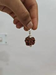 Nepal's Finest 1 Mukhi Rudraksha - Ultimate Peace & Clarity with Shiva | Brahmatells - BrahmatellsStore