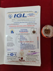 Nepal's Finest 1 Mukhi Rudraksha - Ultimate Peace & Clarity with Shiva | Brahmatells - BrahmatellsStore