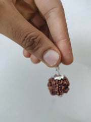 Nepal's Finest 1 Mukhi Rudraksha - Ultimate Peace & Clarity with Shiva | Brahmatells - BrahmatellsStore