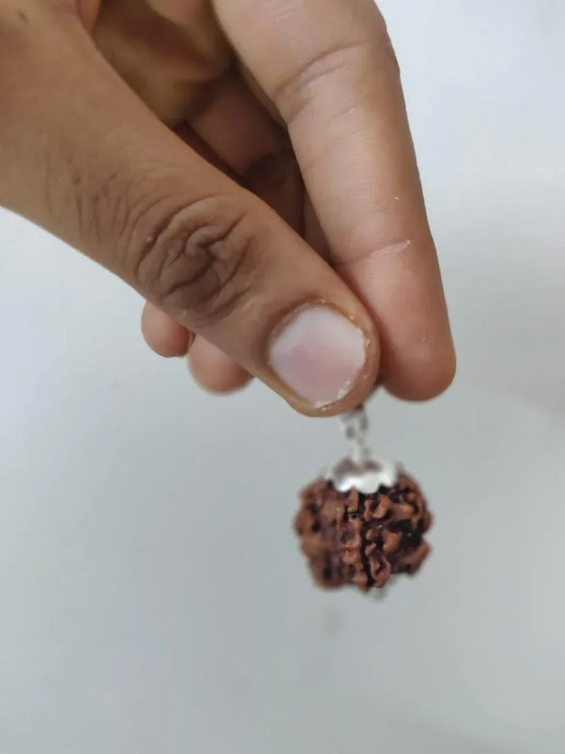 Nepal's Finest 1 Mukhi Rudraksha - Ultimate Peace & Clarity with Shiva | Brahmatells - BrahmatellsStore