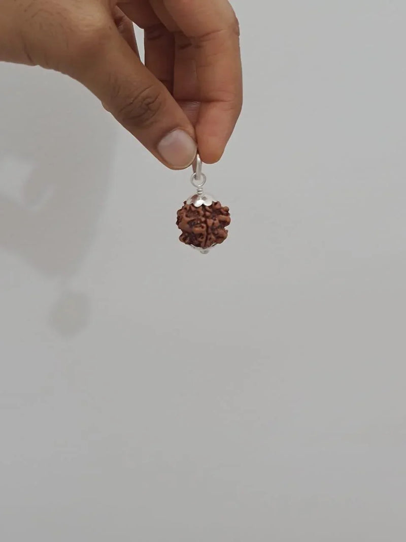 Nepal's Finest 1 Mukhi Rudraksha - Ultimate Peace & Clarity with Shiva | Brahmatells - BrahmatellsStore