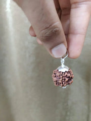 Nepal's Finest 1 Mukhi Rudraksha - Ultimate Peace & Clarity with Shiva | Brahmatells - BrahmatellsStore