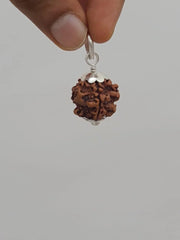 Nepal's Finest 1 Mukhi Rudraksha - Ultimate Peace & Clarity with Shiva | Brahmatells - BrahmatellsStore