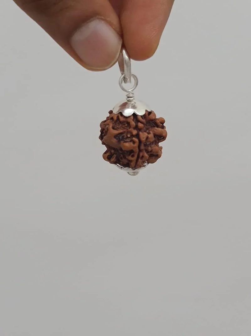 Nepal's Finest 1 Mukhi Rudraksha - Ultimate Peace & Clarity with Shiva | Brahmatells - BrahmatellsStore