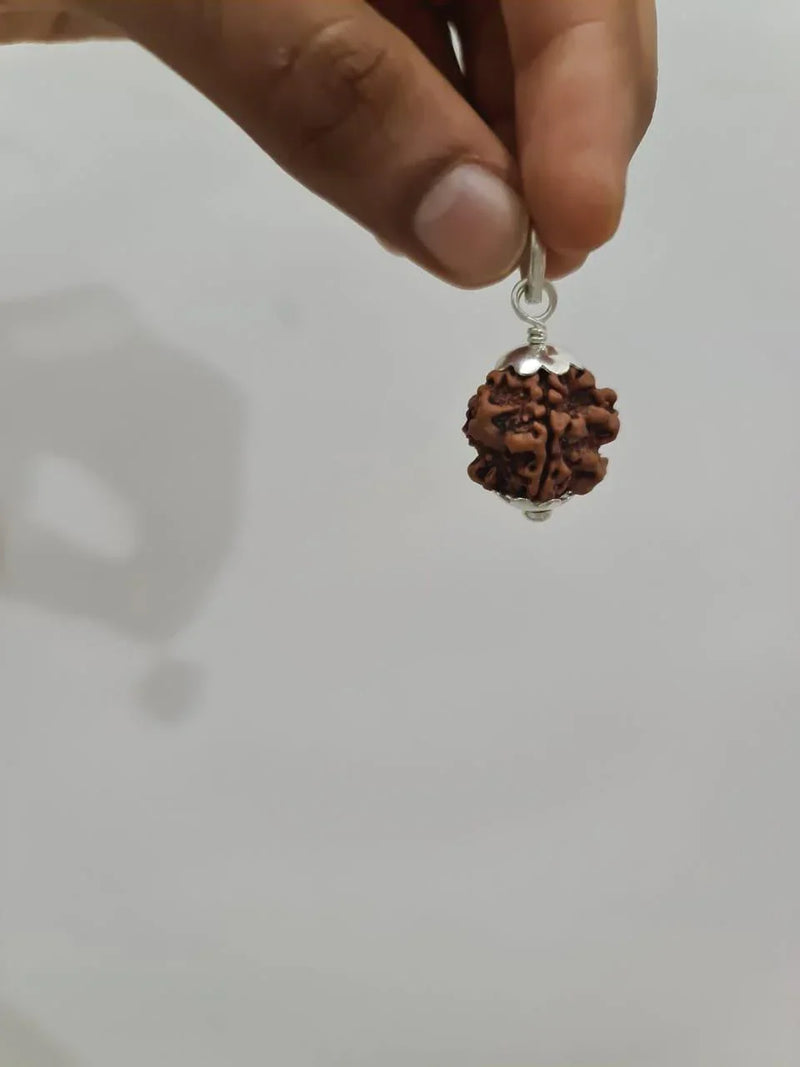 Nepal's Finest 1 Mukhi Rudraksha - Ultimate Peace & Clarity with Shiva | Brahmatells - BrahmatellsStore