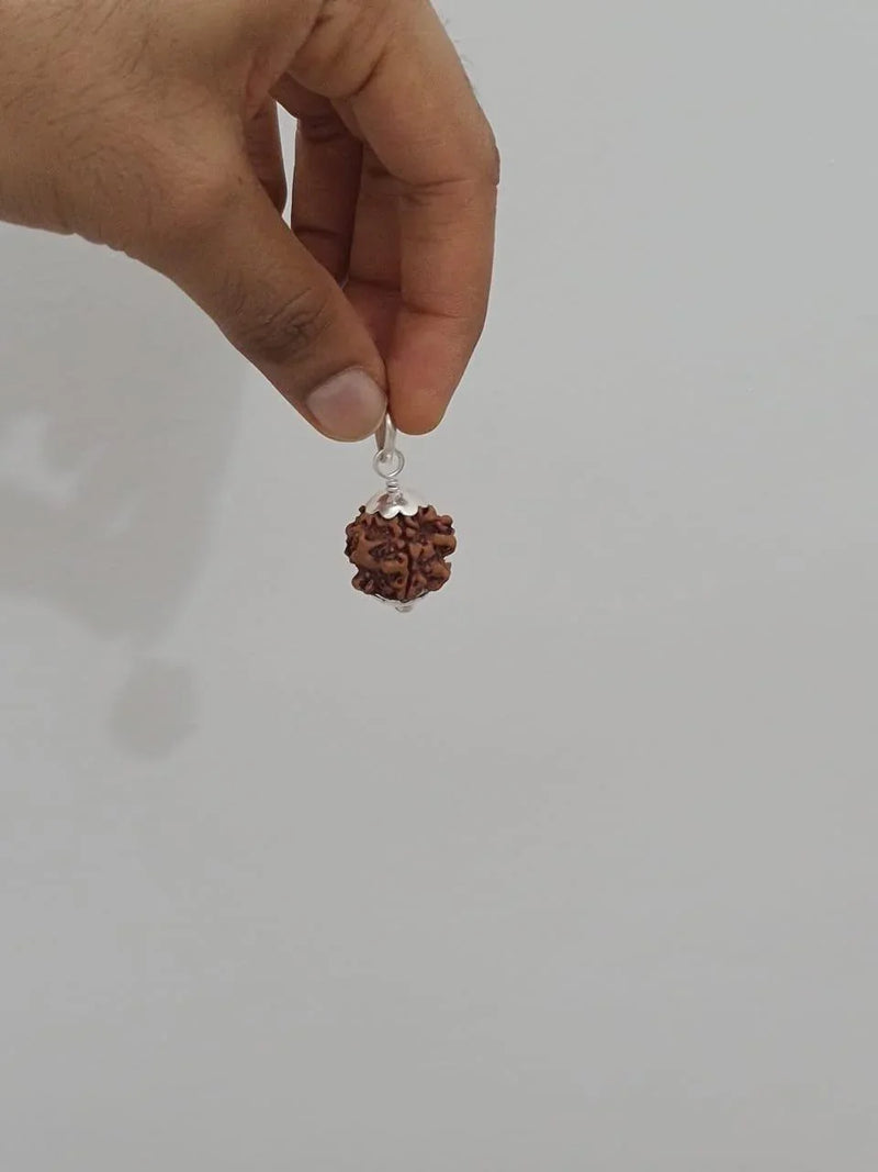Nepal's Finest 1 Mukhi Rudraksha - Ultimate Peace & Clarity with Shiva | Brahmatells - BrahmatellsStore