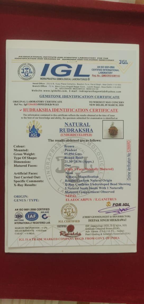 Nepal's Finest 1 Mukhi Rudraksha - Ultimate Peace & Clarity with Shiva | Brahmatells - BrahmatellsStore