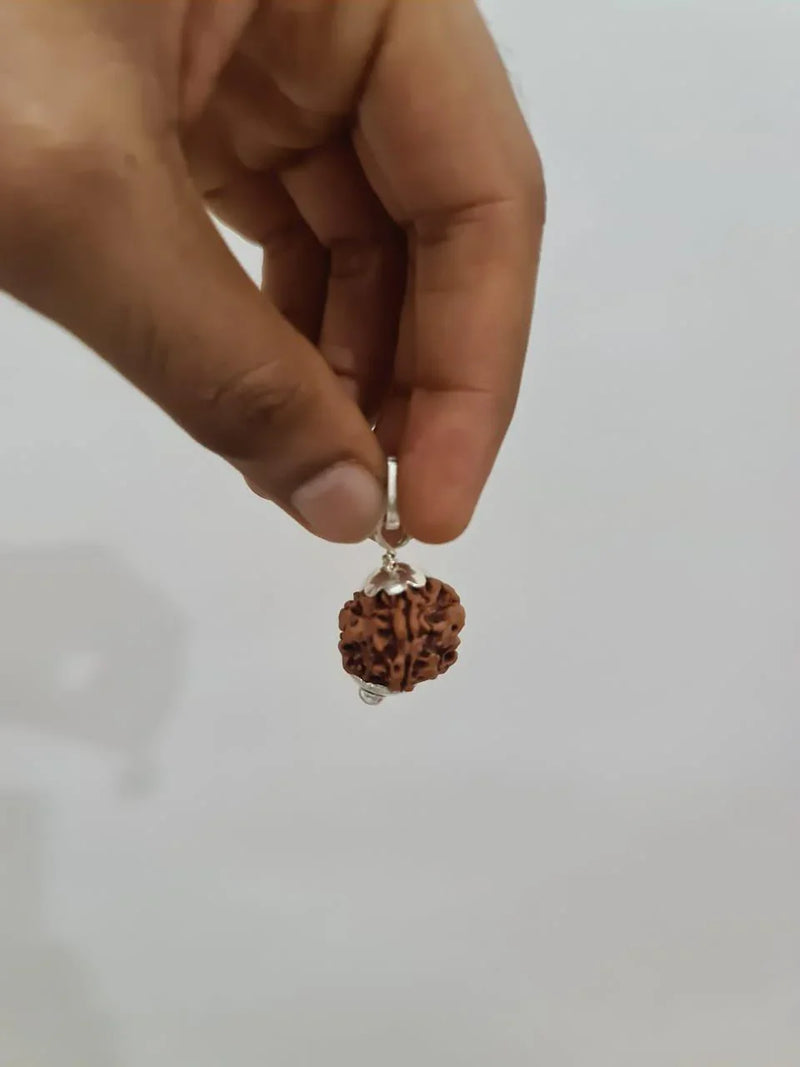 Nepal's Finest 1 Mukhi Rudraksha - Ultimate Peace & Clarity with Shiva | Brahmatells - BrahmatellsStore