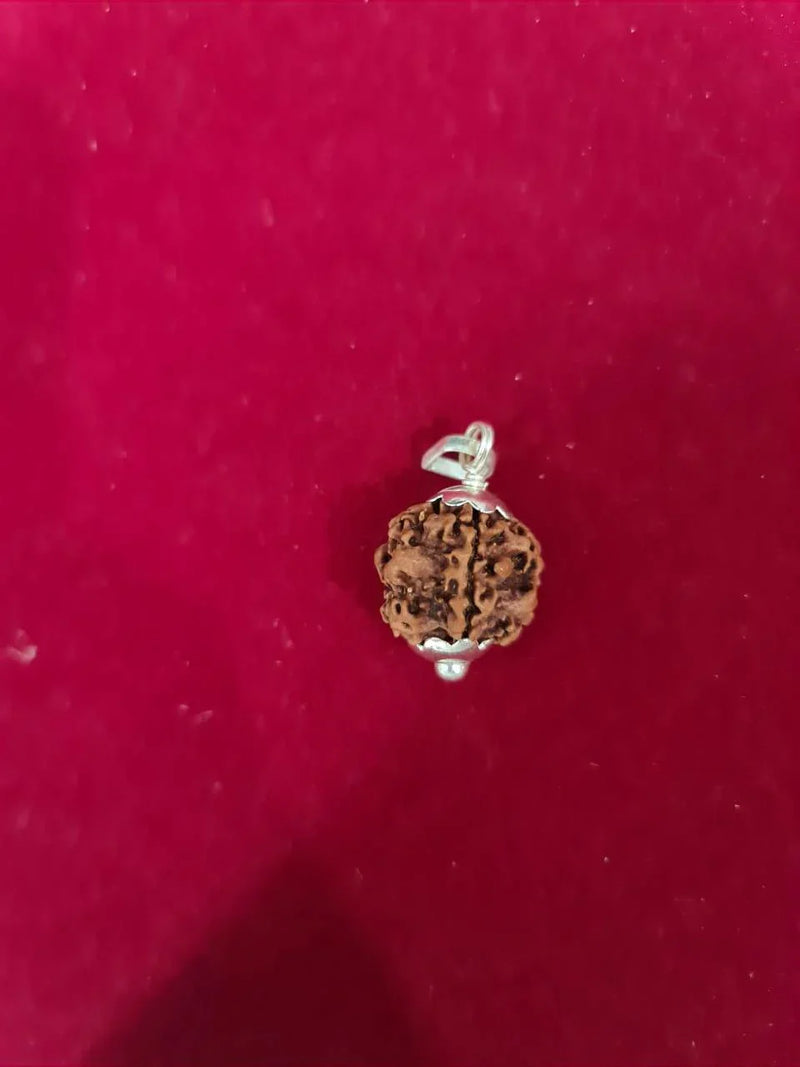 Nepal's Finest 1 Mukhi Rudraksha - Ultimate Peace & Clarity with Shiva | Brahmatells - BrahmatellsStore