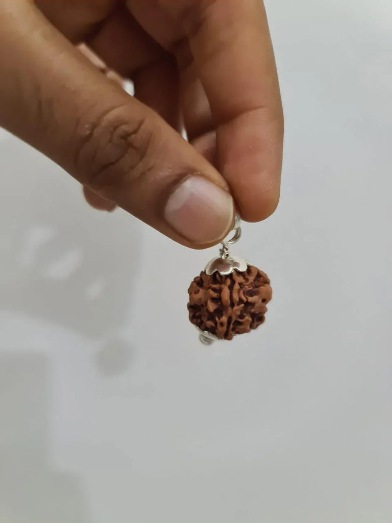 Nepal's Finest 1 Mukhi Rudraksha - Ultimate Peace & Clarity with Shiva | Brahmatells - BrahmatellsStore