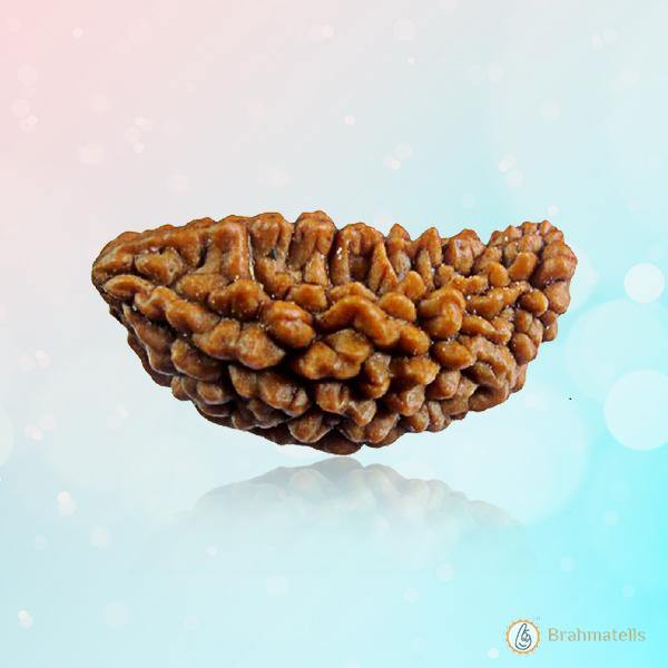 One Mukhi Rudraksha Pendant - Divine Connection with Lord Shiva | Brahmatells - BrahmatellsStore