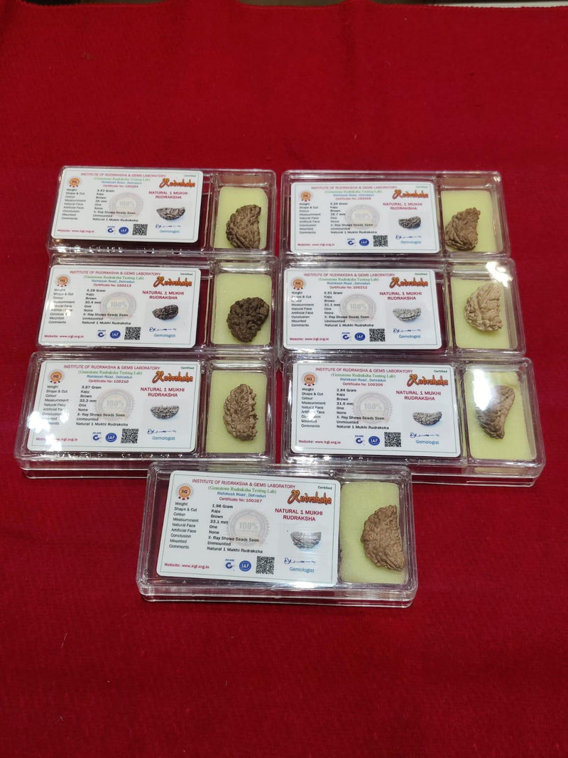 One Mukhi Rudraksha Pendant - Divine Connection with Lord Shiva | Brahmatells - BrahmatellsStore