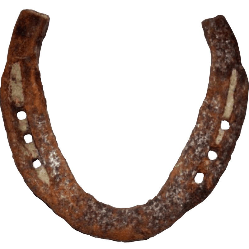 Original-Kale-Ghod-Ki-Naal - BrahmatellsStore