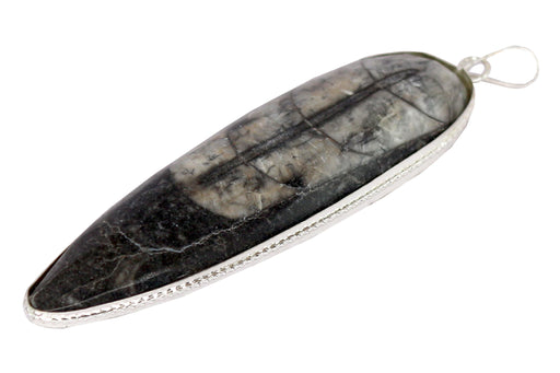 Orthoceras Pendant - Kuber Stone for Abundance & Protection | Brahmatells - BrahmatellsStore