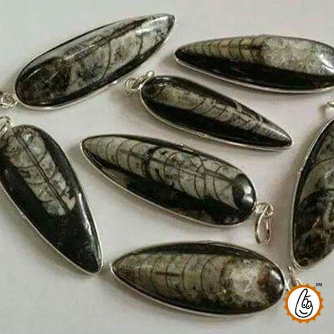 Orthoceras Pendant - Kuber Stone for Abundance & Protection | Brahmatells - BrahmatellsStore