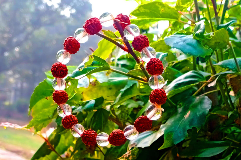 Panchmukhi Rudraksha Bracelet - Attain Mindfulness & Peace | Brahmatells - BrahmatellsStore