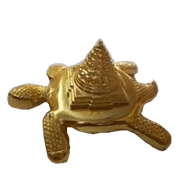 Parad shree yantra - BrahmatellsStore