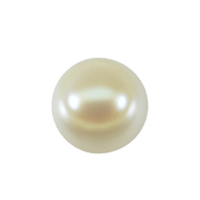 Pearl cream-light BTP110GSM - BrahmatellsStore