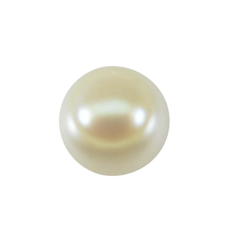 Pearl cream-light BTP110GSM - BrahmatellsStore