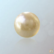 Pearl gold-light BTP109GSM - BrahmatellsStore