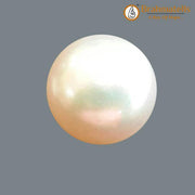 Pearl (Moti)(Flat) - BrahmatellsStore