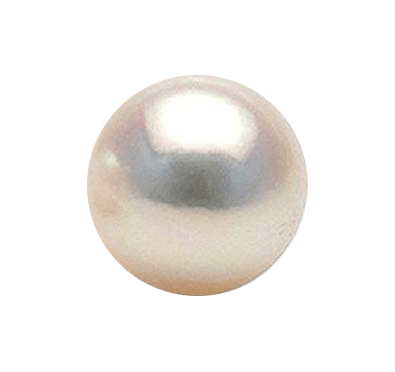 Pearl powder-almond BTP107GSM - BrahmatellsStore