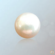 Pearl white BTP108GSM - BrahmatellsStore