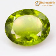 Peridot Premium - BrahmatellsStore