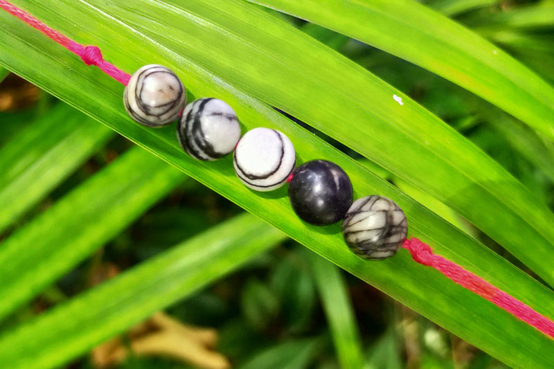 Picture Jasper Band - BrahmatellsStore