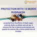 Protection With 10 Mukhi Rudraksha - BrahmatellsStore