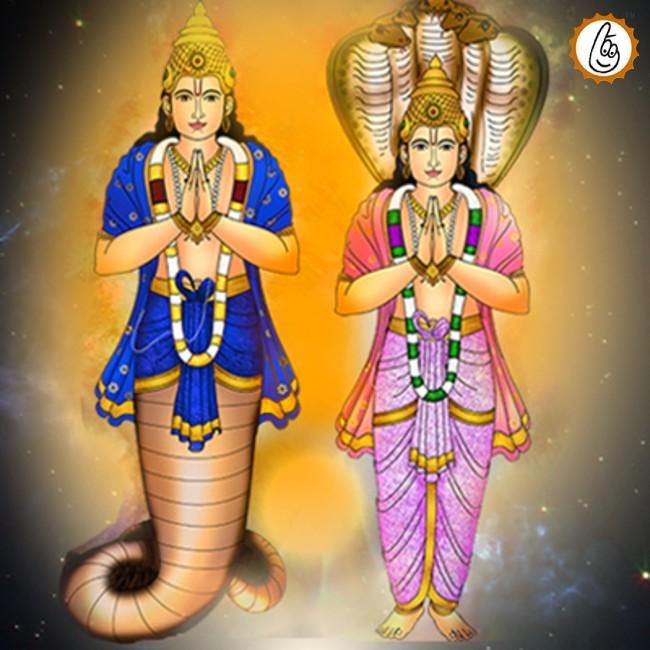 Rahu and Ketu Grah Puja Mantra Japa and Yagna - BrahmatellsStore