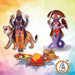 Rahu and Ketu Grah Puja Mantra Japa and Yagna - BrahmatellsStore