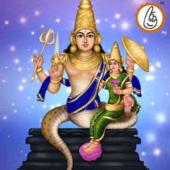 Rahu Dosh Nivaran Puja - Stability & Protection | Brahmatells - BrahmatellsStore