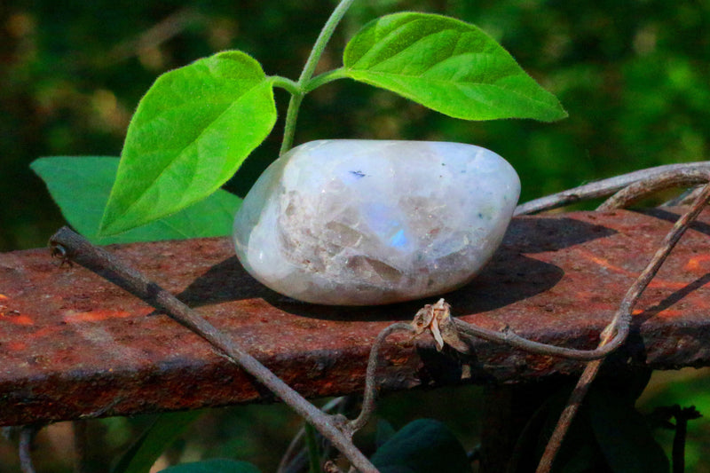 Rainbow Moonstone Tumble - BrahmatellsStore
