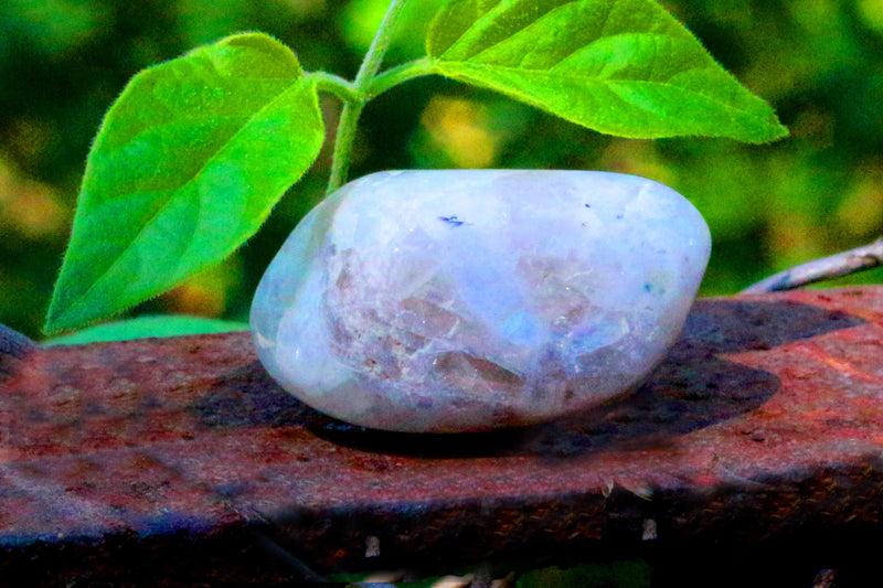 Rainbow Moonstone Tumble - BrahmatellsStore