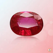 Ruby Manak cushion-crimson-red BTR122GSM - BrahmatellsStore