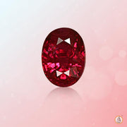 Ruby Manak dark-crimson BTR109GSM - BrahmatellsStore